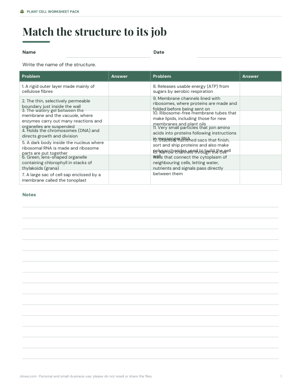 Preview of Plant Cell Function Matching Worksheet